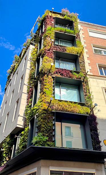 istock Vertical Garden on Modern Building Facade 2207486491