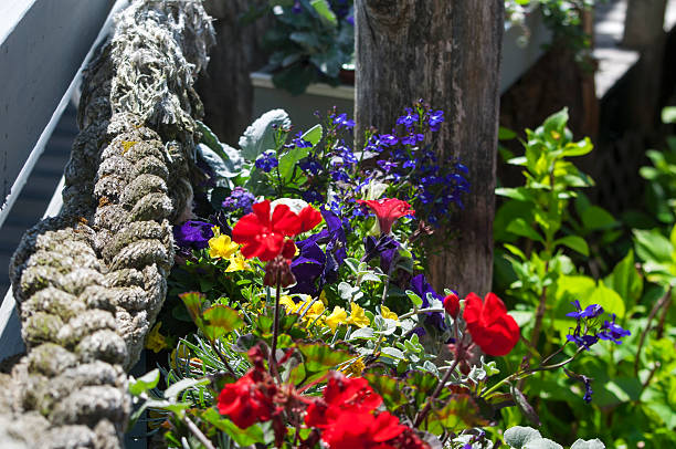 istock a flower arrangement in edgartown massachusetts 2207486530