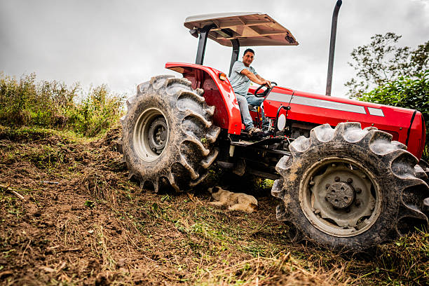 Mature man working driving a tractor at farm