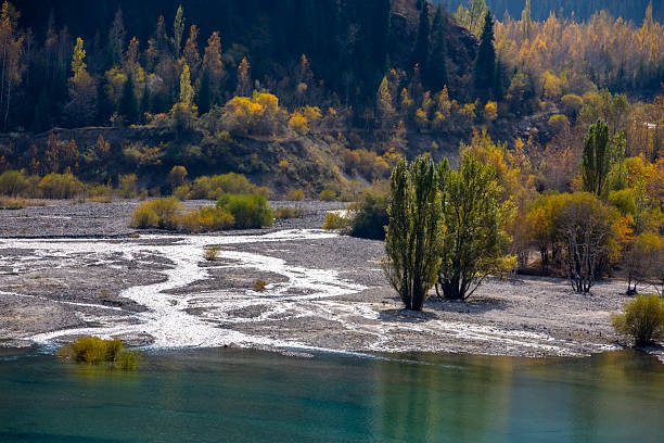 istock Issyk Lake is a lake in Kazakhstan 2207491461