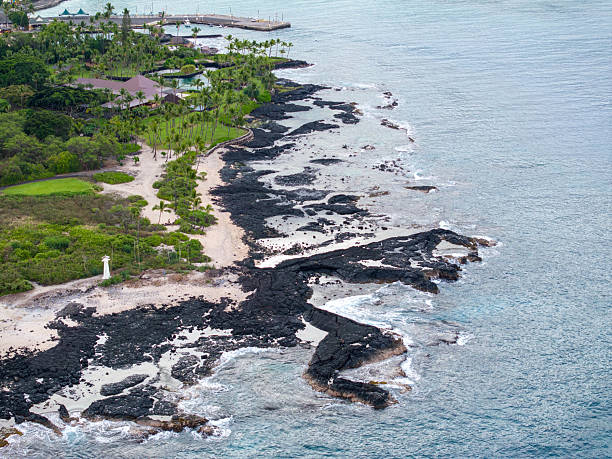 This photograph captures a serene coastal scene on the Big Island of Hawaii, featuring palm trees along the shoreline with dark, rugged lava rocks meeting the ocean. The image highlights the natural beauty of the island's unique landscape.