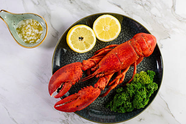 istock ose up of fresh steamed lobster with herbs 2207494399