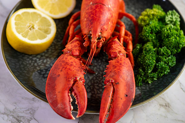 istock ose up of fresh steamed lobster with herbs 2207494502