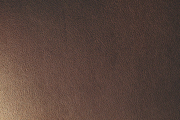istock Detailed leather texture bathed in warm light. 2207505314