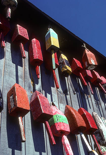 Maine - Lobster Buoys & Shed Low Angle - 1985