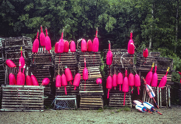 Maine - Lobster Traps & Bouys in Rain - 1985