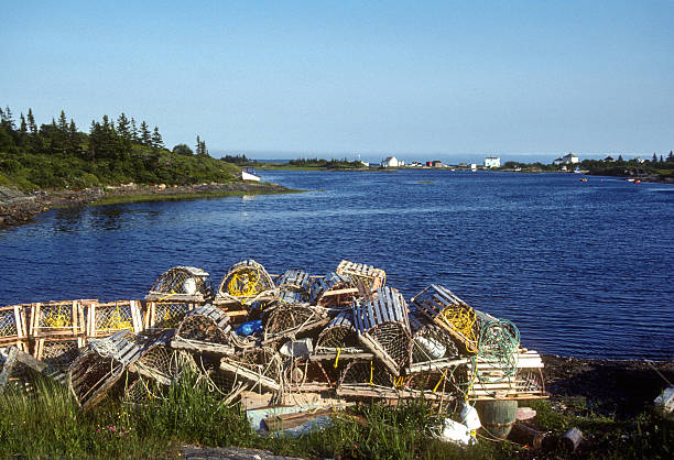 Lunenburg - Harbor & Lobster Traps - 1985