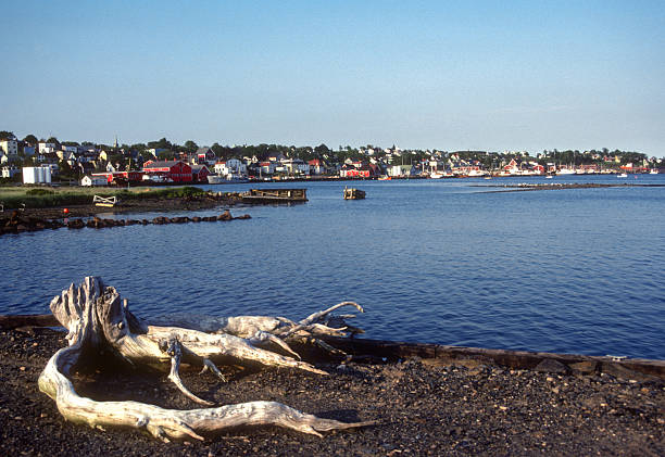 istock Lunenburg - Harbor & Driftwood - 1985 2207513905