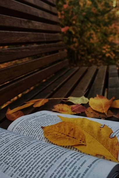 Golden autumn.