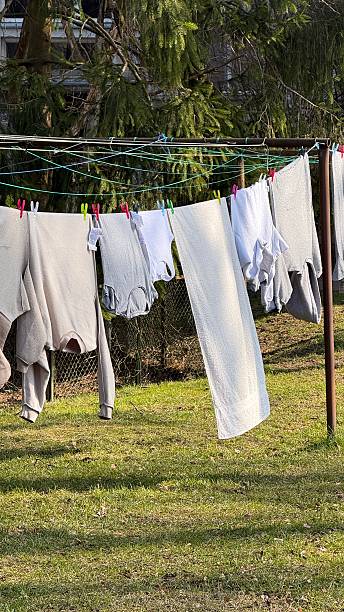 istock Sun-dried laundry dancing gently in backyard breeze near tall evergreen trees 2207517268