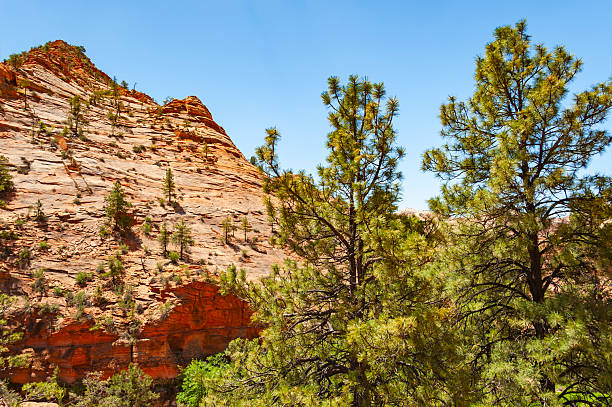 Zion National Park