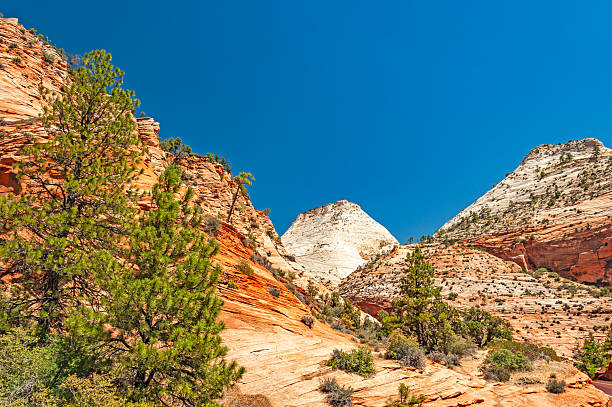Zion National Park, located in Utah state, includes mountains, canyons, buttes, mesas, monoliths, rivers, slot canyons, and natural arches.