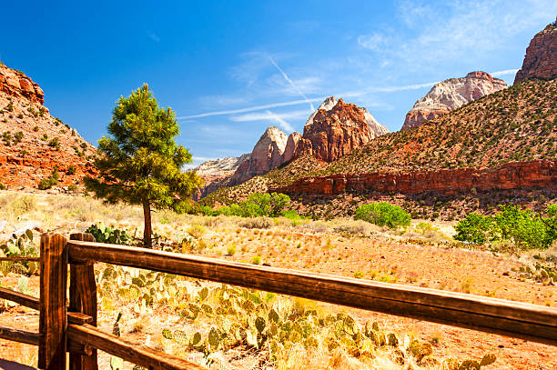istock Scenic Zion National Park 2207518653