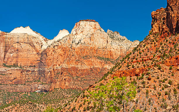 istock Scenic Zion National Park 2207518681
