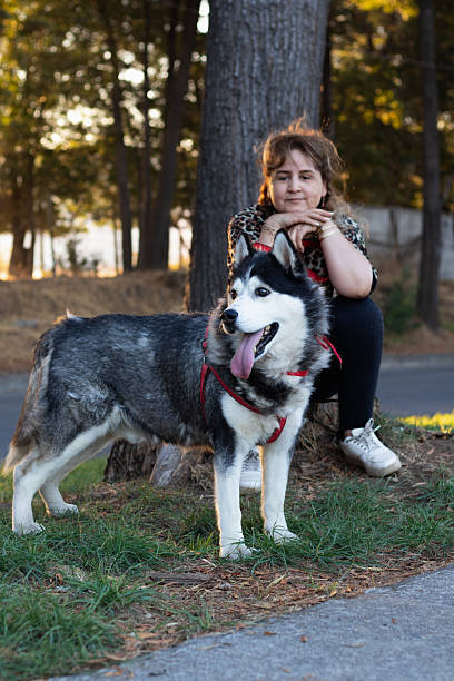 istock a woman sitting with her dog under the trees 2207520443