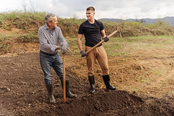Multiracial senior farmers working inside agricultural greenhouse - Farm people cooperative concept