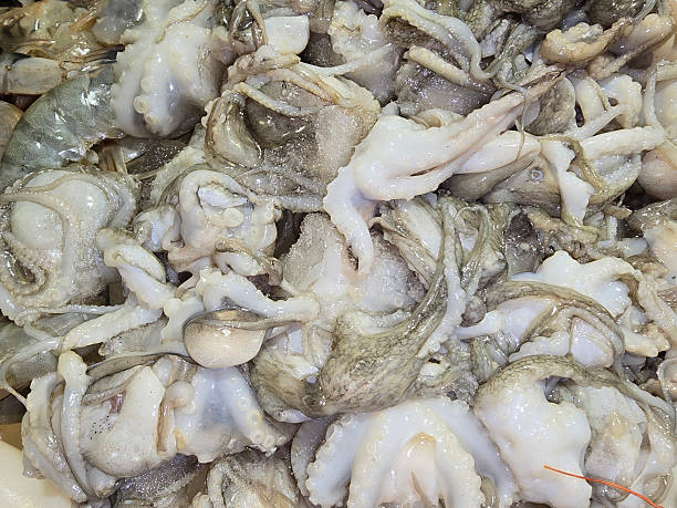istock Octopuses in a refrigerated counter, close-up. Supermarket. Raw squid, top view. 2207534149
