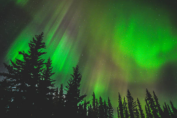 istock Northern Lights Across Alaska 2207536285