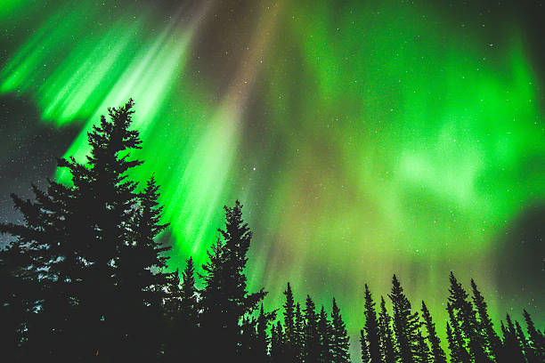 istock Northern Lights Across Alaska 2207536291