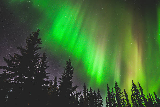 istock Northern Lights Across Alaska 2207536303