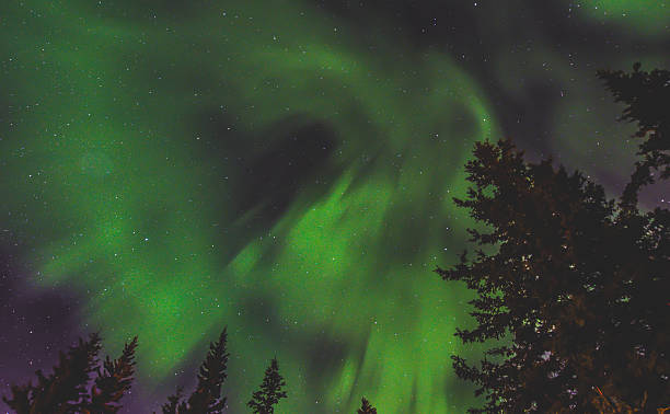 istock Northern Lights Across Alaska 2207536345