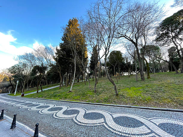 istock Curved patterned walkway surrounded by trees and green grass in landscaped garden 2207539708