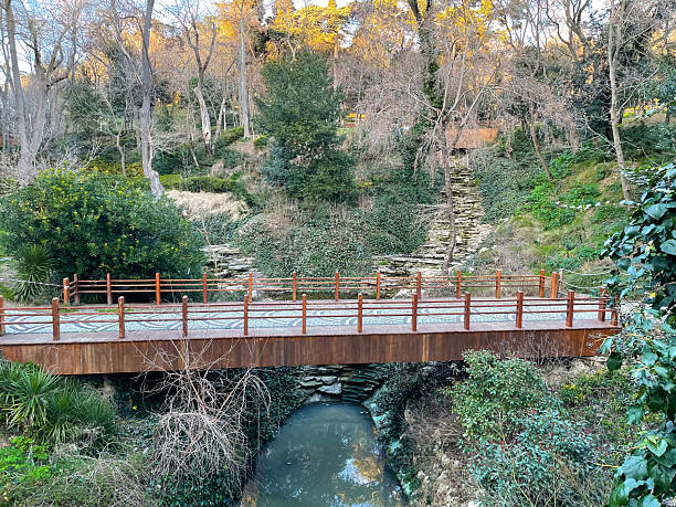 istock Wooden bridge spanning forest stream under leafy tree canopy and soft light 2207539750