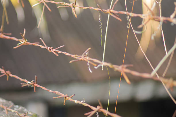 Close up of Barbed Wire wit a Blur Background