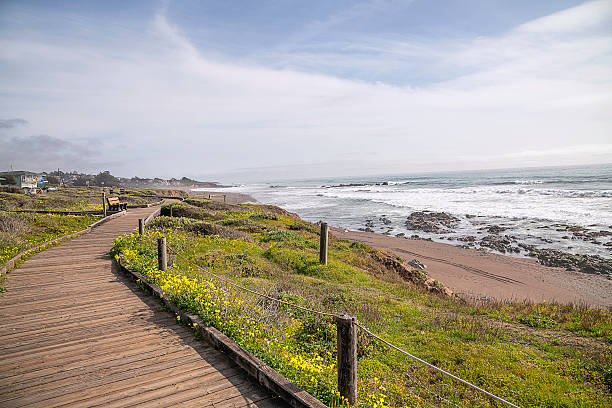 istock Moonstone Beach Boardwalk in the Early Morning 2207546896