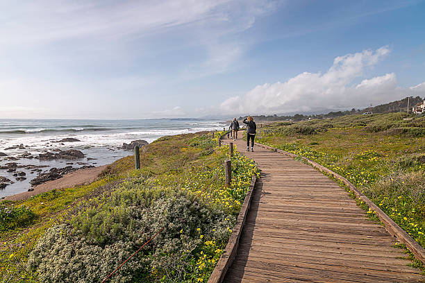 istock Moonstone Beach Boardwalk in the Early Morning 2207546911