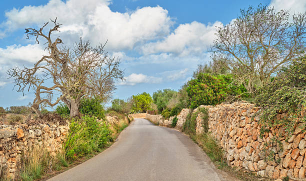 istock Scenic Roadway Amidst Rural Landscape in Mallorca under a Blue Sky 2207557332
