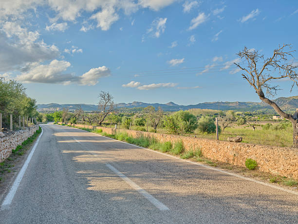 A quiet countryside road in Mallorca, Spain, surrounded by vibrant green trees and a sunny blue sky, creating a serene rural ambiance.