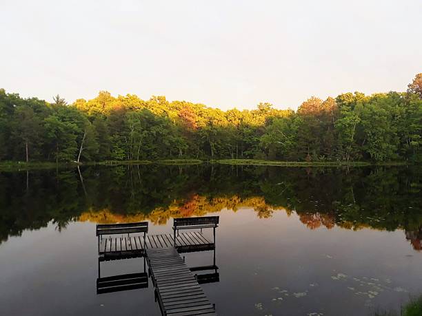 A peaceful lake in northern Wisconsin reflects a stunning shoreline of green trees touched with golden yellow and orange from the setting sun. A weathered wooden dock with two benches extends over the still water, perfect for admiring nature’s beauty. Lily pads float near shore, completing this serene autumn landscape.