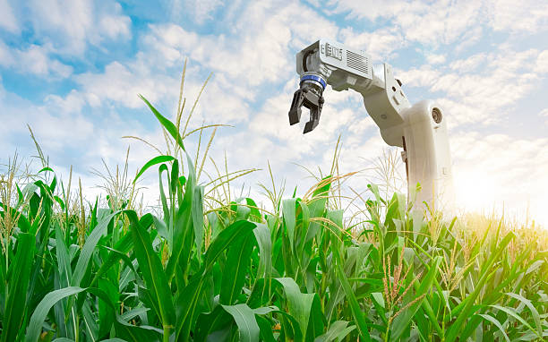 istock Agriculture technology concept with robotic arm on field 2207563199