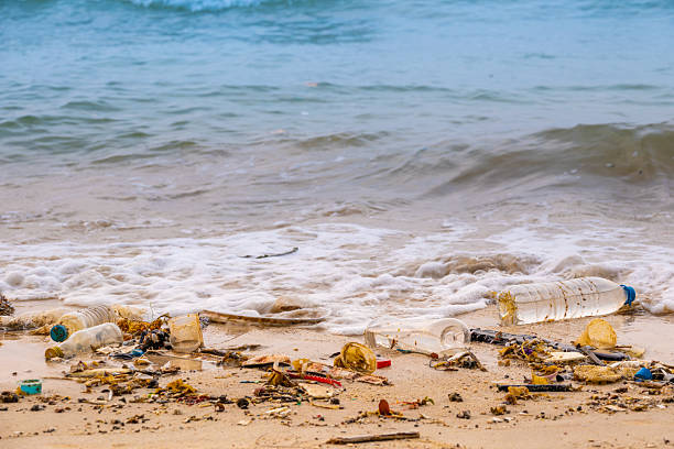 istock trash, plastic cups and plastic bags at the beach. environmental problem concept and healing the world 2207573317