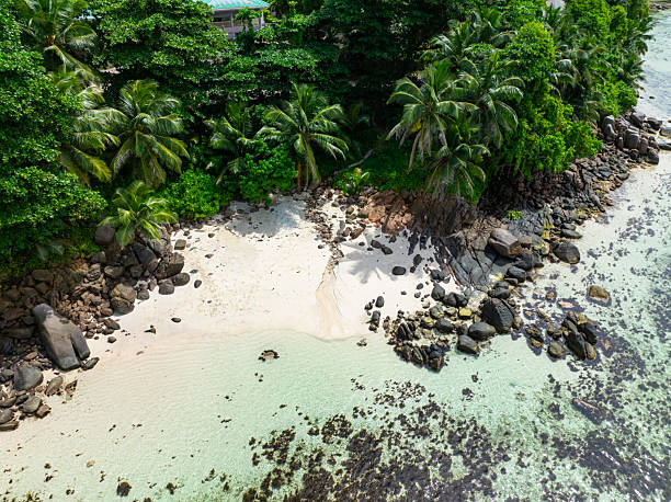 istock Tropical beach with turquoise water. Seychelles, Mahe. 2207578542