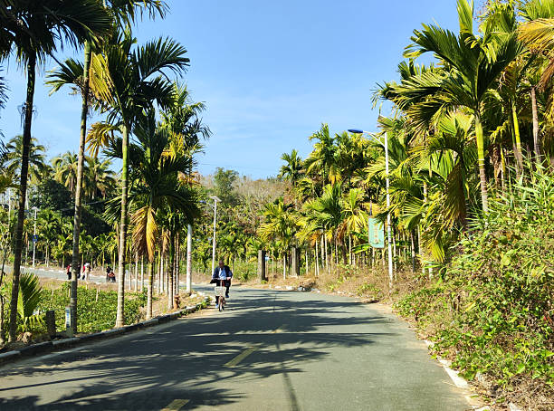Man cycling along a palm lined road in central Hainan, China.