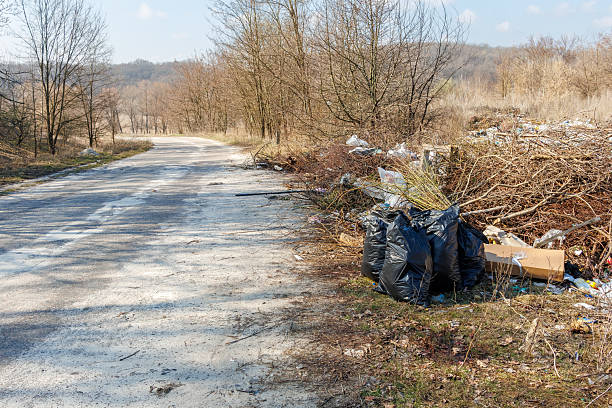 istock An illegal dump in a natural area near a road 2207586583