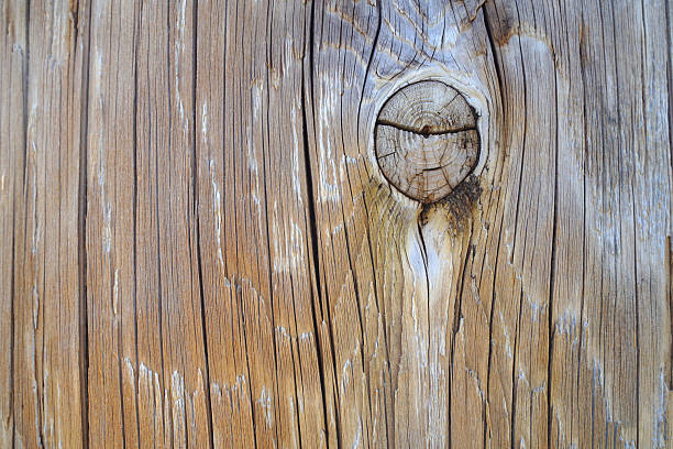 Close-up of a weathered wood surface featuring distinct growth rings and cracks. The texture is enhanced by remnants of peeling, reddish-brown paint, creating a rustic and aged feel. This high-resolution image is ideal for backgrounds, textures, or designs that require a natural and organic aesthetic.