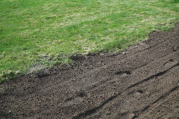 istock seed sowed in lawn with soil plowed in spring 2207590550