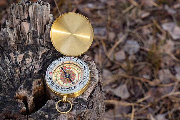 istock A gold compass is placed on a tree stump, showcasing a navigation tool and outdoor adventure. 2207597907