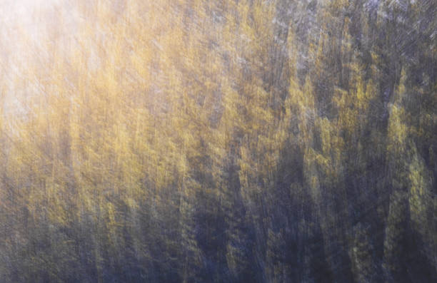 Spring blossom bush. Intentional camera movement, abstract landscape background
