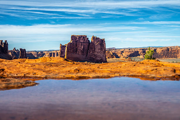 A majestic sandstone butte rises dramatically against a deep blue sky at Arches National Park, reflecting beautifully in a shallow pool of water in this desert landscape. Captured in the American Southwest, this image showcases the stark beauty of eroded rock formations, the rugged wilderness, and the contrast between the harsh desert terrain and the serene reflection. A perfect shot for themes of solitude, geology, exploration, and nature’s resilience.