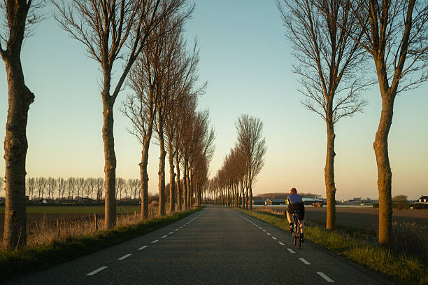 Cyclist is enjoying a peaceful ride along a picturesque country road lined with trees at sunset
