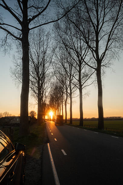 istock Sunset illuminating country road between trees with parked car 2207602812