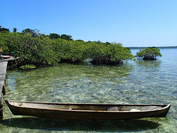 istock Dugout Canoe on Clear Caribbean Waters 2207609200