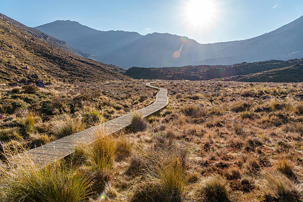 istock Tongariro Alpine Crossing 2207611377