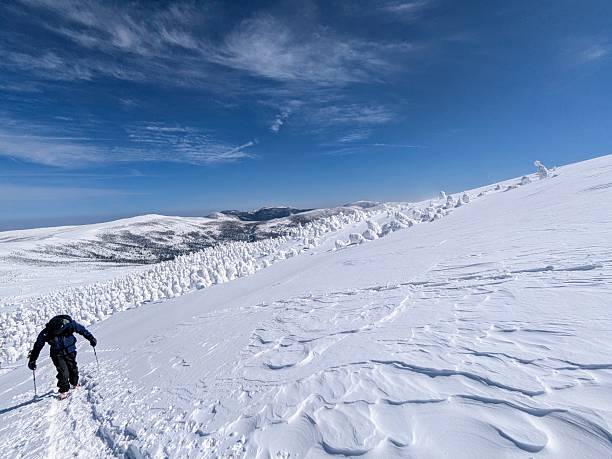 istock Under blue sky in March, the gently undulating terrain stretches from Tengendai Kogen Ski Resort to Mt. Nishi-azuma in Yonezawa City, Yamagata Prefecture, Japan. 2207613978