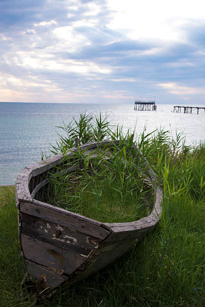 istock Lonely boat on the shore overgrown with reeds against a dramatic sky - selective focus, copy space 2207614777
