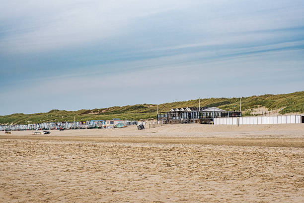 istock On the beach of Egmond aan Zee 2207614966